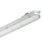 Philips LED Feuchtraumleuchte CoreLine WT120C G2 61W 8000lm - 840  | 150cm - Dali Dimmbar 