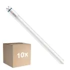 Lot 10x Philips MASTER LED T8 (EM/Direct 230V) High Output T8 7.6W 1150lm - 840 Blanc Froid | 60cm - Remplacement 18W